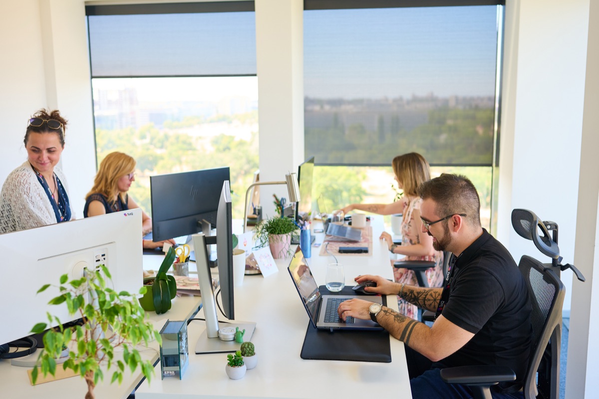 Working at TelQ office desks