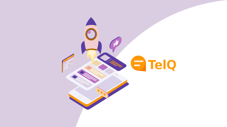 SMS test - TelQ