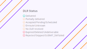 A guide into SMS delivery report